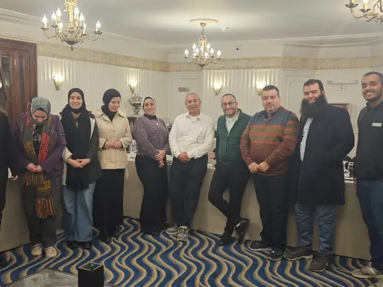 العمل اللائق — الإسكندرية
