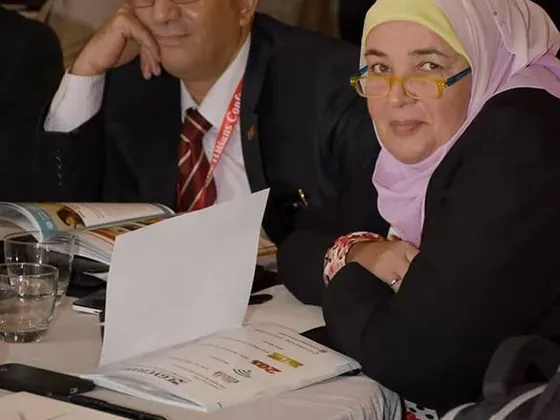 الأرشيف المهني
